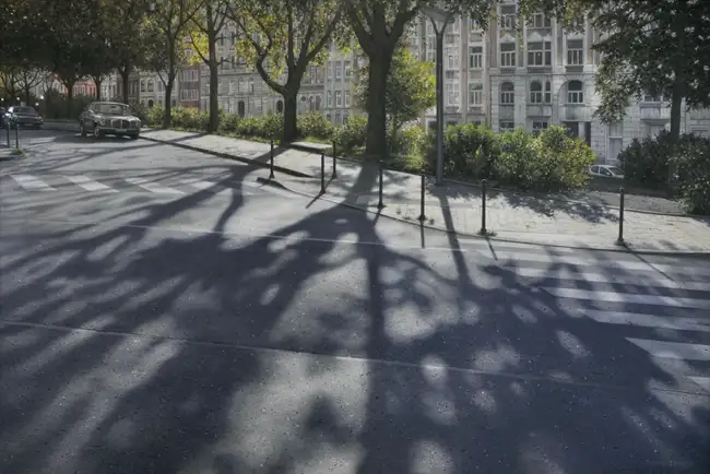 Avenue