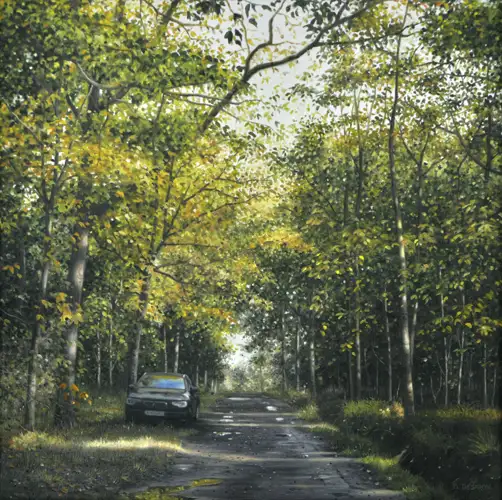 Forest Path