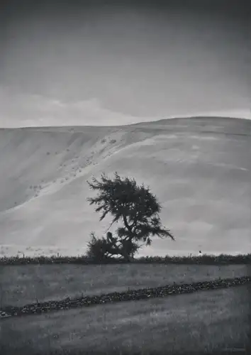 Monochrome #12 - The Hills