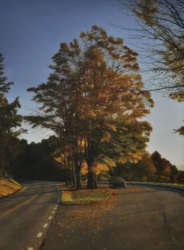 Rest Stop