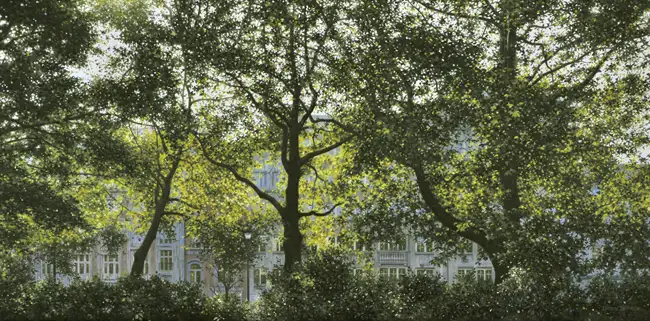 Symphony in Green
